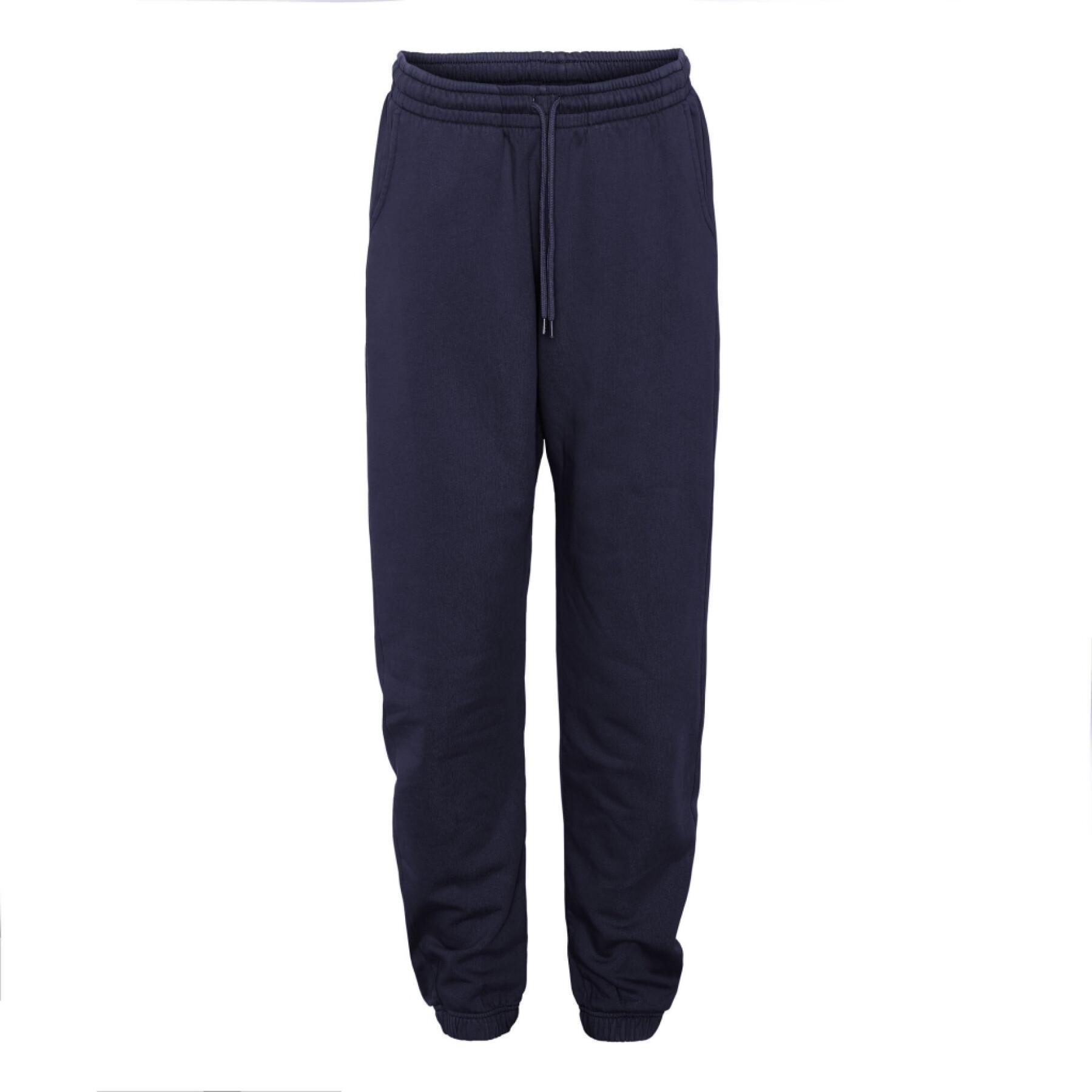 Joggers Colorful Standard Organic navy blue