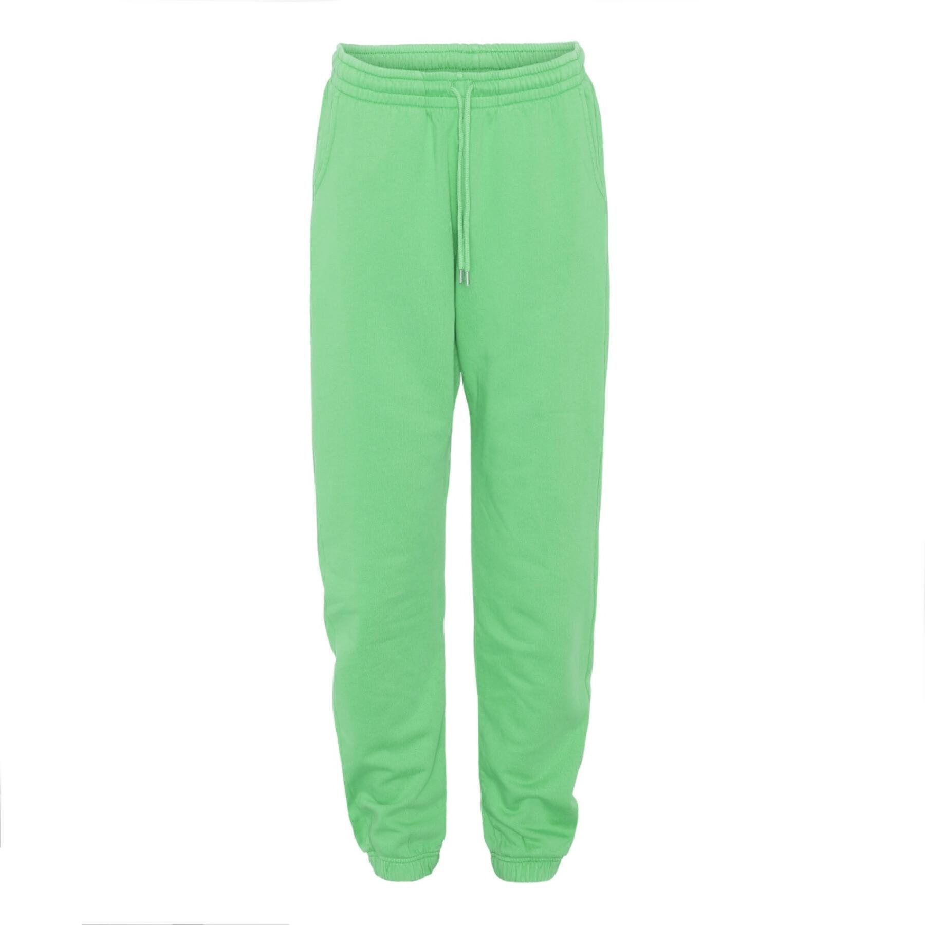 Joggers Colorful Standard Organic spring green