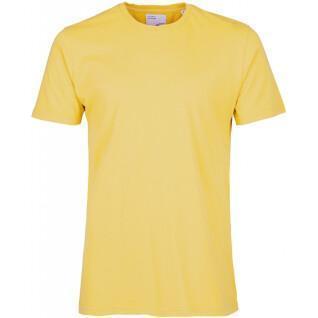 Maglietta Colorful Standard Classic Organic lemon yellow