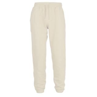 Joggers Colorful Standard Classic Organic ivory white