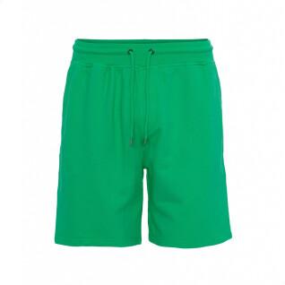 Pantaloncini Colorful Standard Classic Organic kelly green