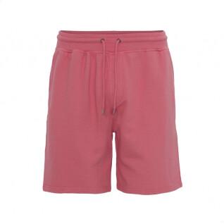 Pantaloncini Colorful Standard Classic Organic raspberry pink