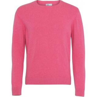 Maglione girocollo in lana Colorful Standard Classic Merino bubblegum pink