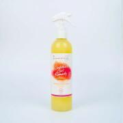 Spray idratante per donne Les Secrets de Loly Cocktail Curl Remedy