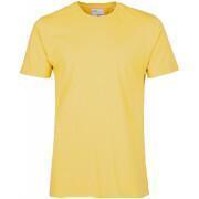 Maglietta Colorful Standard Classic Organic lemon yellow