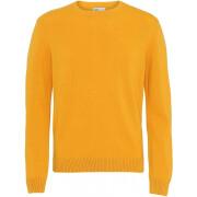 Maglione girocollo in lana Colorful Standard Classic Merino burned yellow